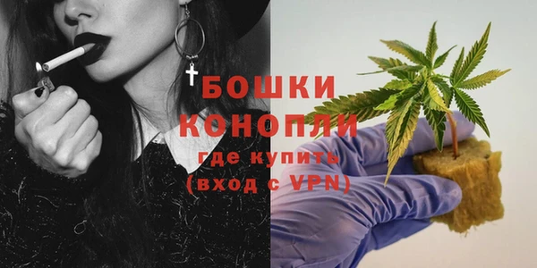 трава Богданович