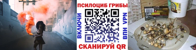 магазин Красногорск Псилоцибиновые грибы MAGIC MUSHROOMS